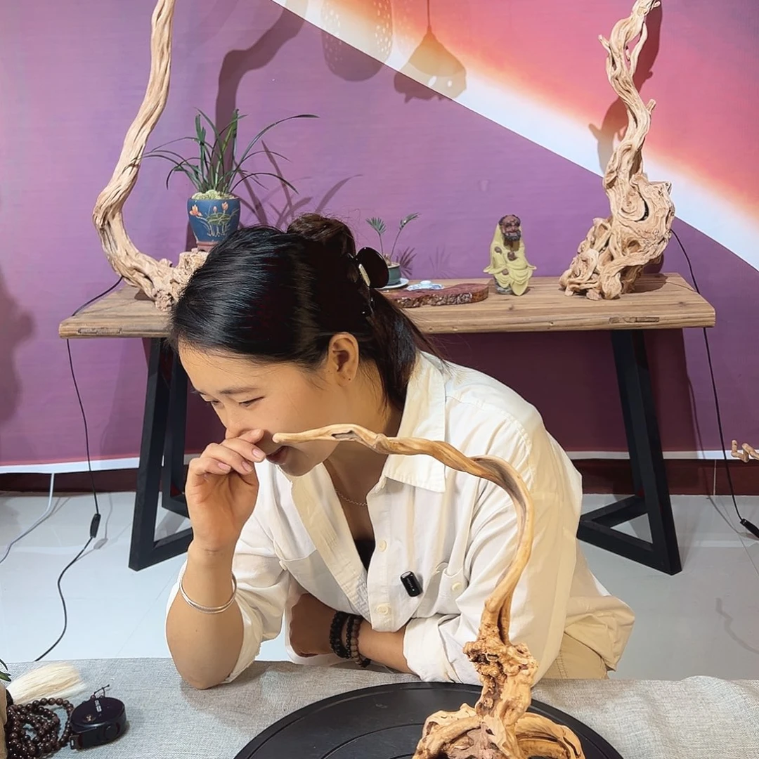 城***阁木天然杜鹃根根艺摆件