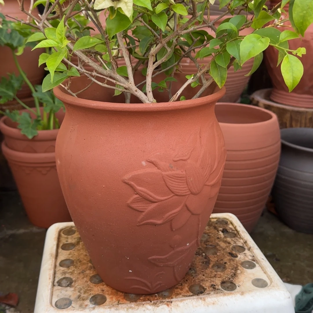 朱泥花盆口21高27宜兴紫砂