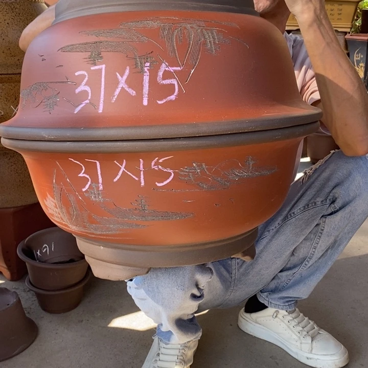 紫砂紫砂紫砂紫砂