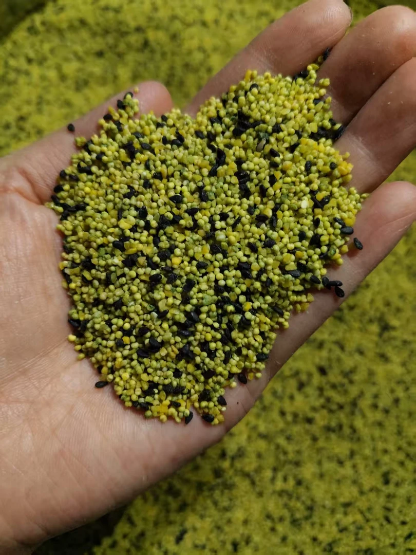 主播同款自制蛋小米