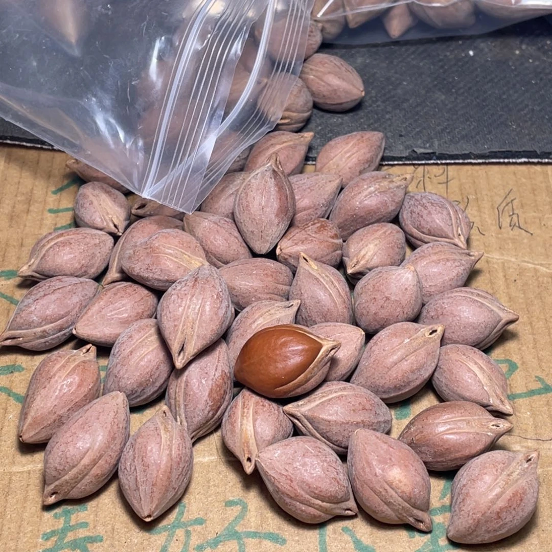 达***手不退不换wryyio