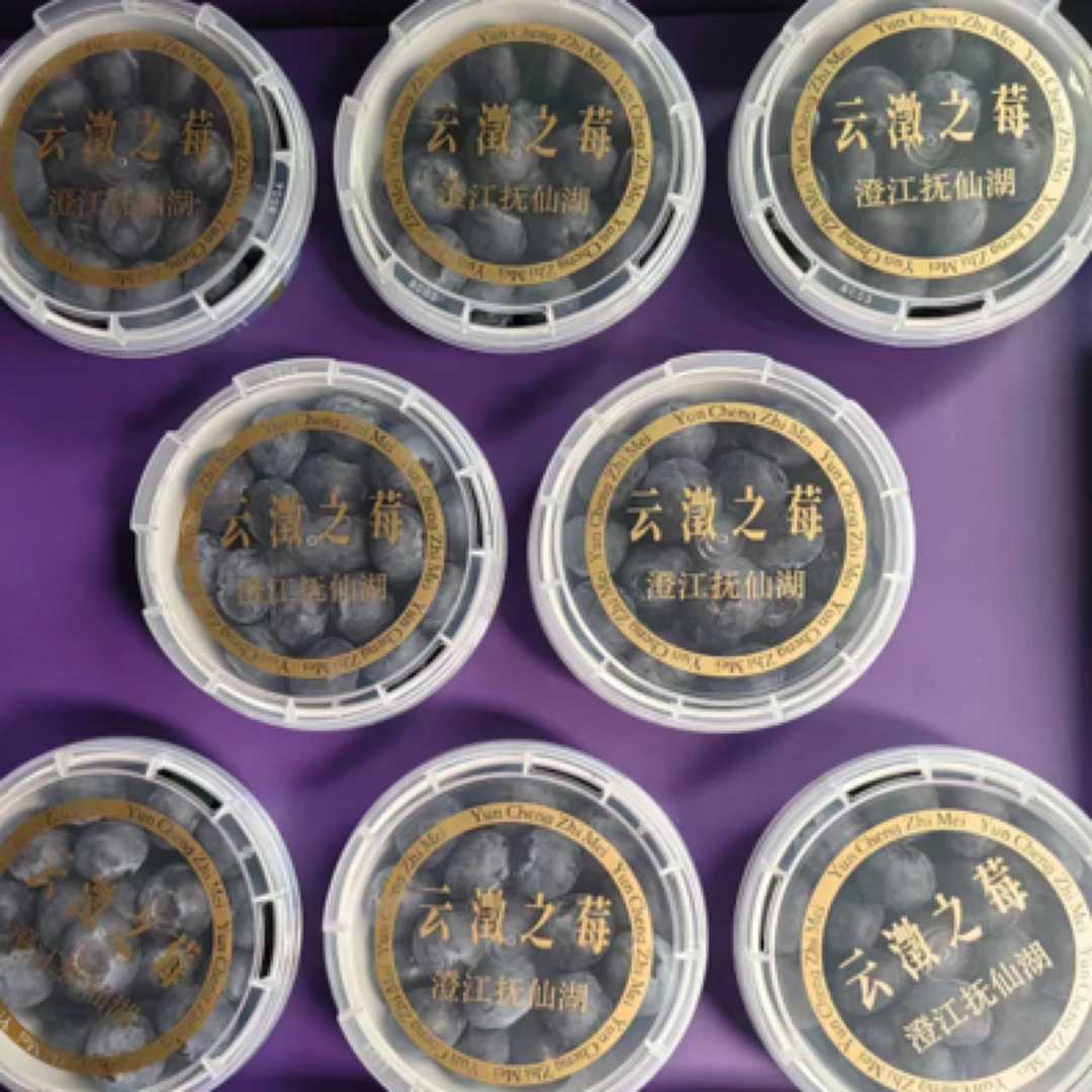 枝冠蓝莓大果2盒纯甜17mm—20mm 脆甜特别好吃云南蓝莓200克云南省