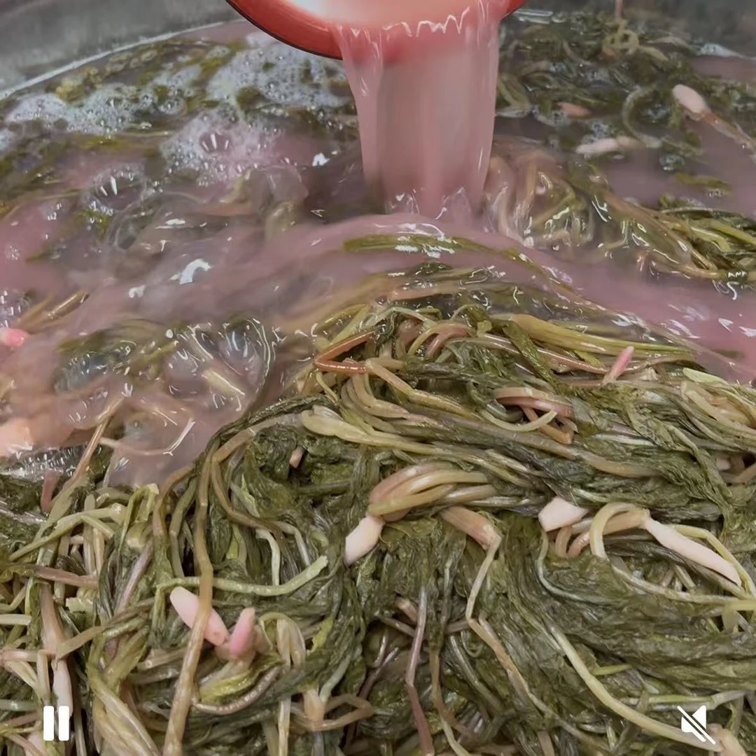 贵州特产正宗大缸腌制无盐萝卜菜酸菜无盐酸菜鱼炒酸菜豆米素酸菜