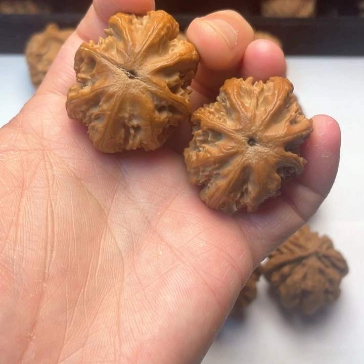 文玩核桃把件文玩城的小伙伴们都