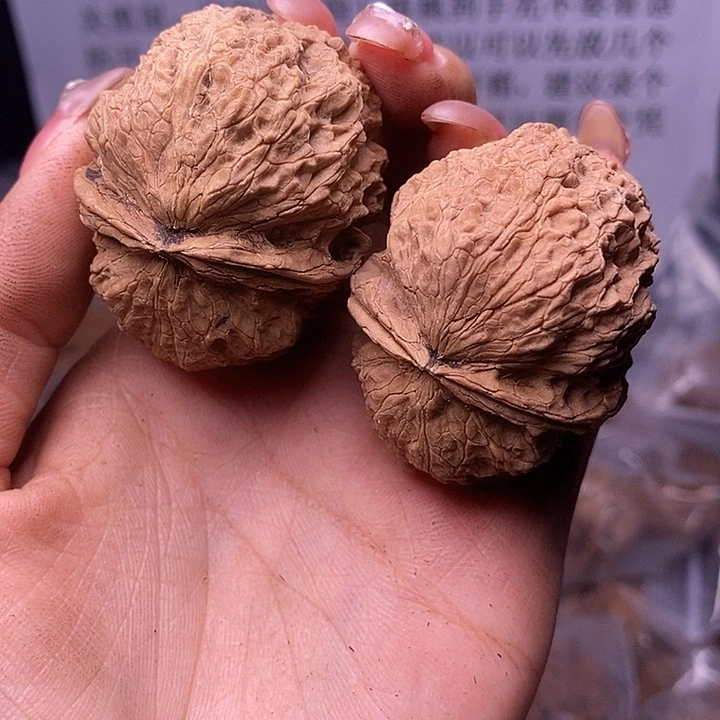 核桃云南野生铁核桃189号45mm