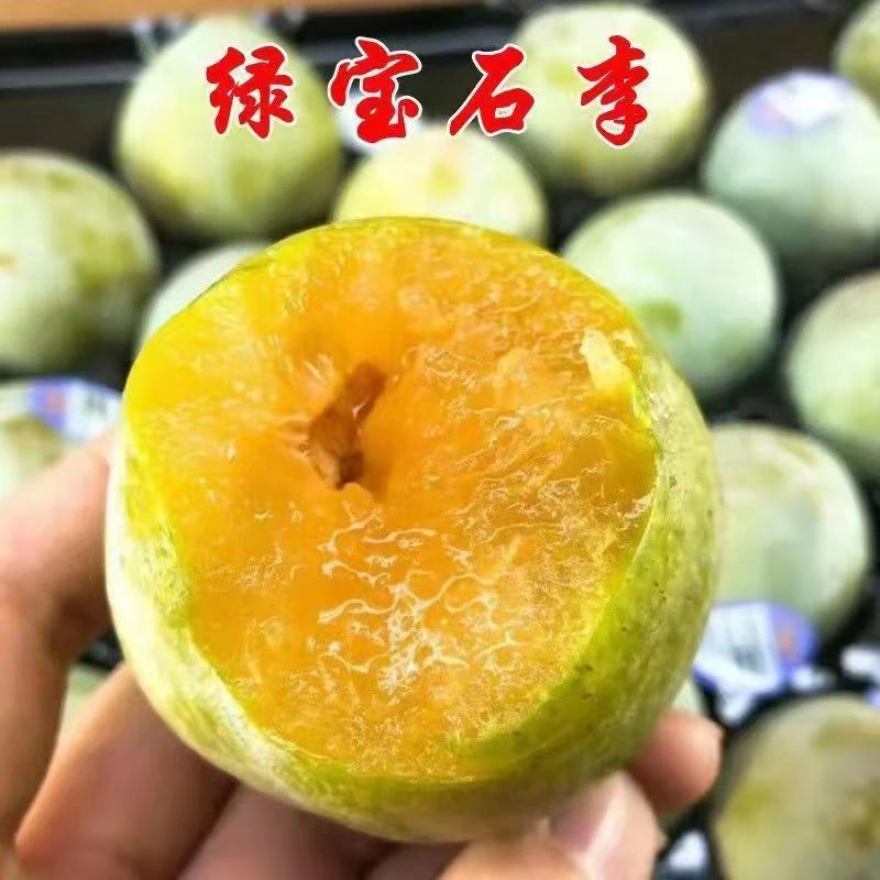 李子树 【容器苗】 南北方种植耐寒耐高温明年结果