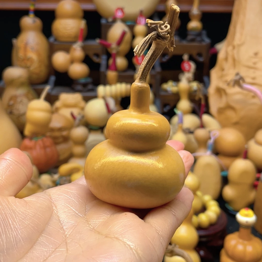 猫**友葫芦花一两的一块地块