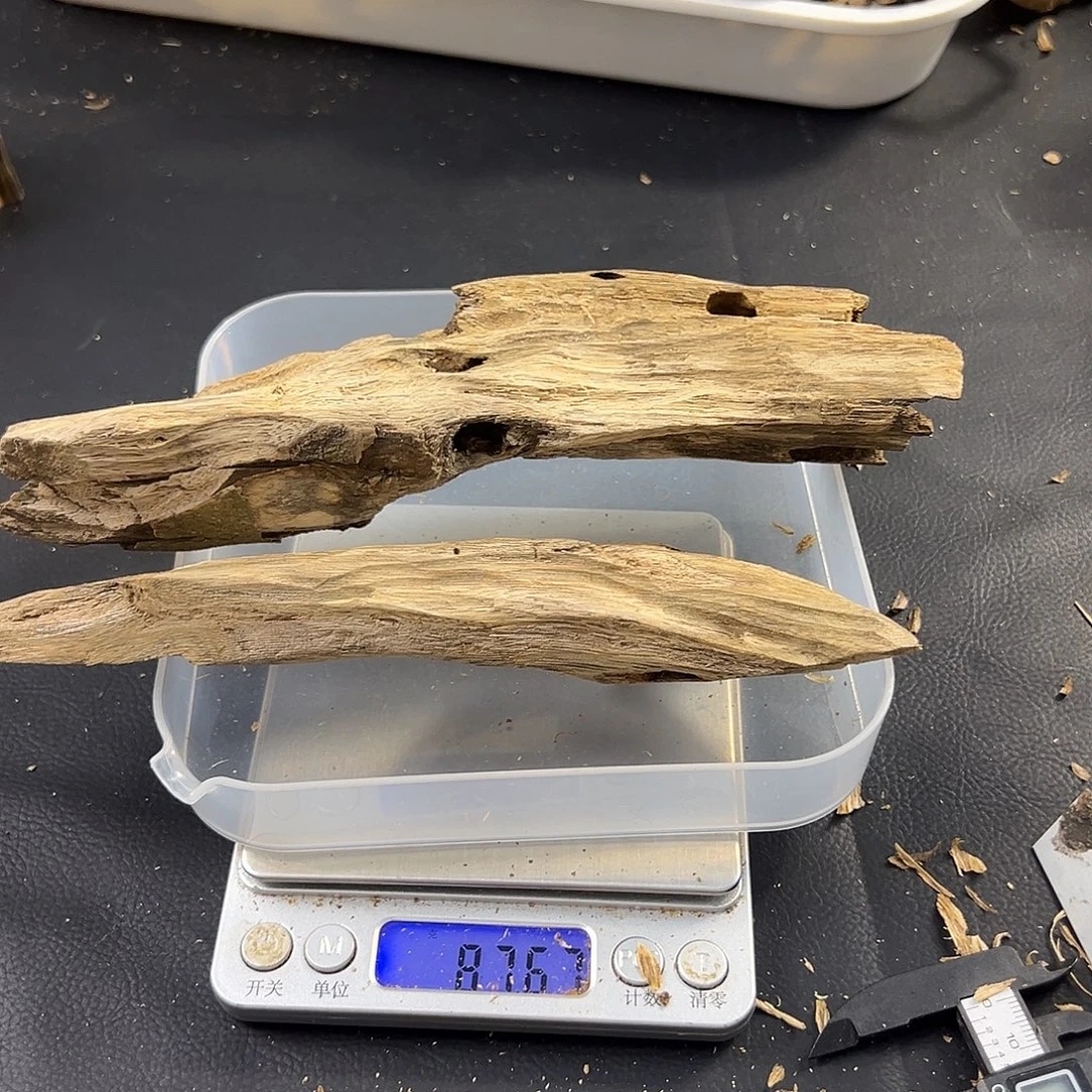 普通奇楠虫漏87克