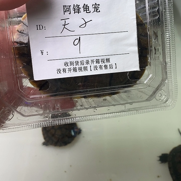 哈哈哈哈哈哈哈哈哈哈哈