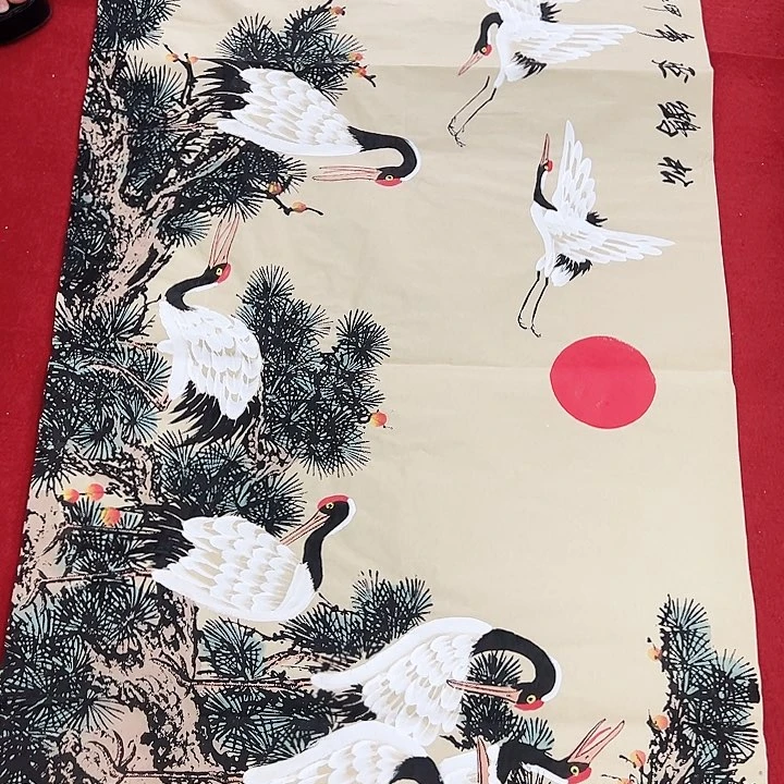 横款晚上好福利多多