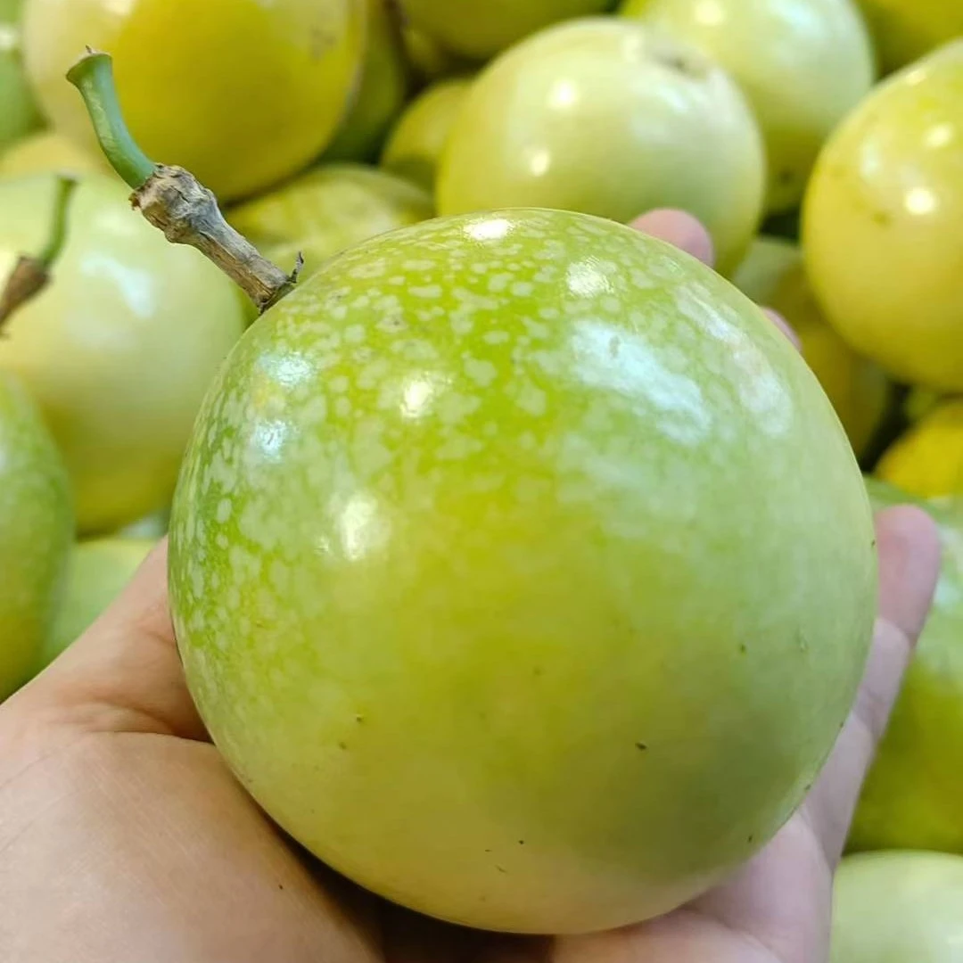 新鲜现摘钦蜜9号百香果黄金果黄金百香果中大果香甜多汁口感饱满