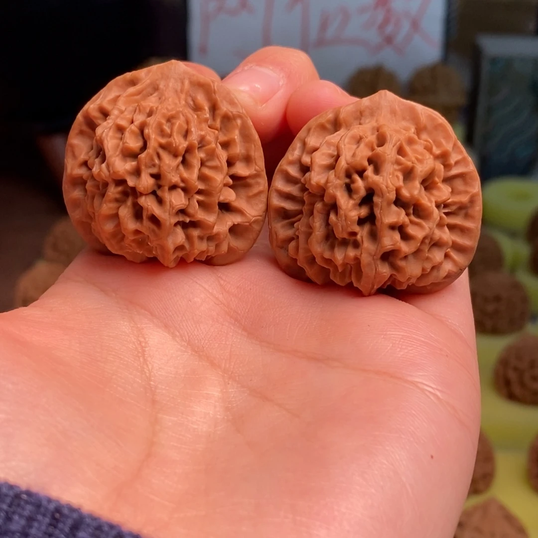 核桃秦岭闷尖狮子头35