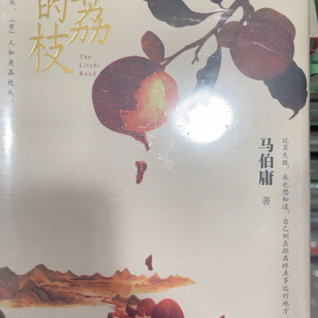 长安的荔枝精装一个