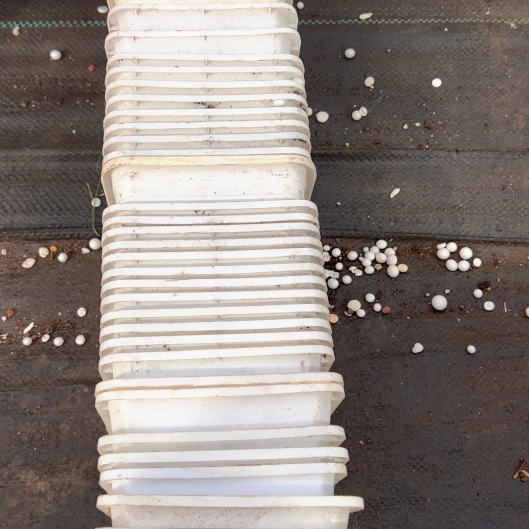 白方140盆13.5口径10高 20个