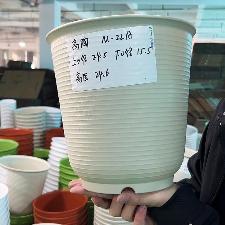 正品高陶口24.5高24.6米色无托5只