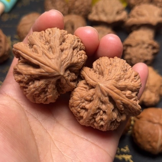 大粗筋异形全品无修