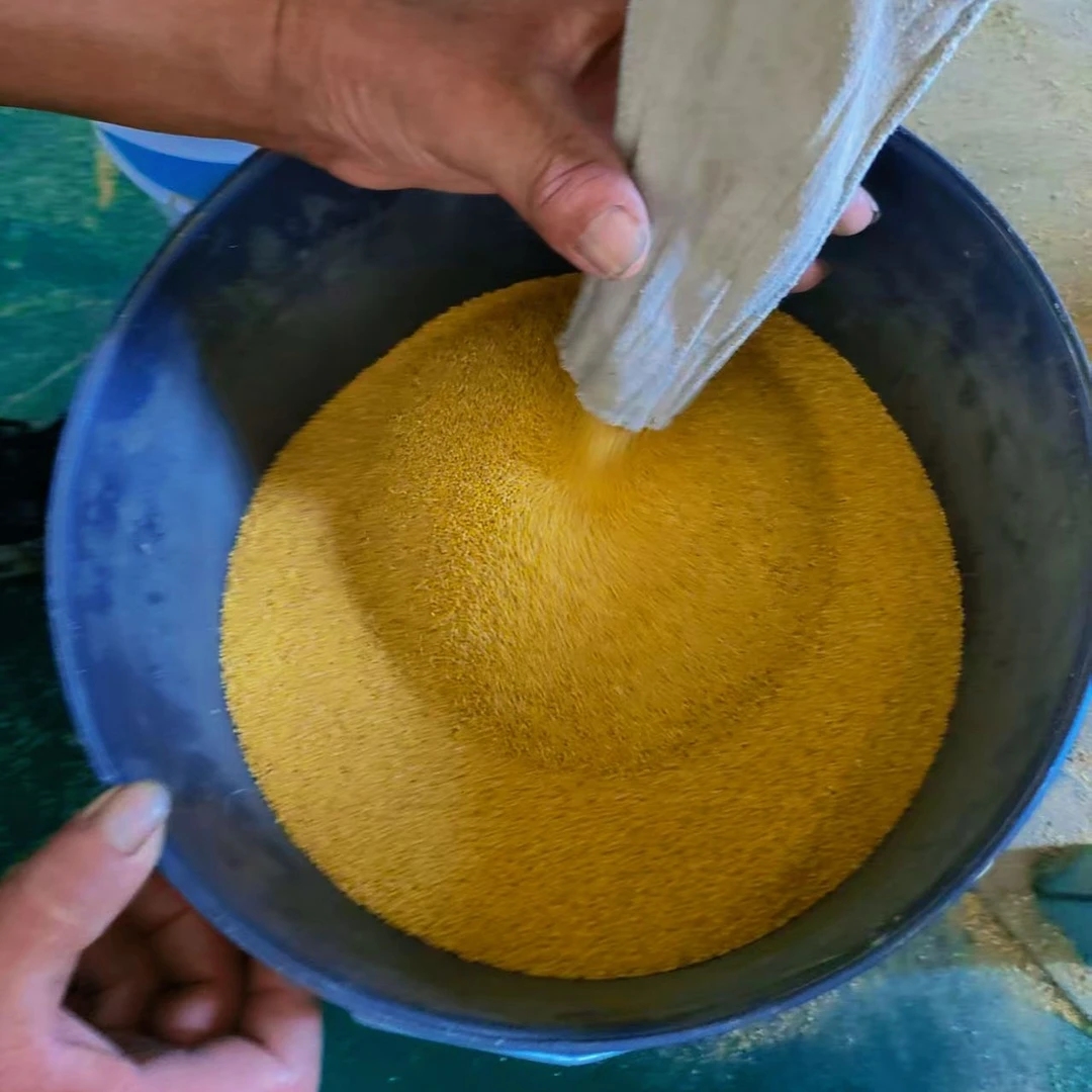 五莲新春小米月子米农家特产