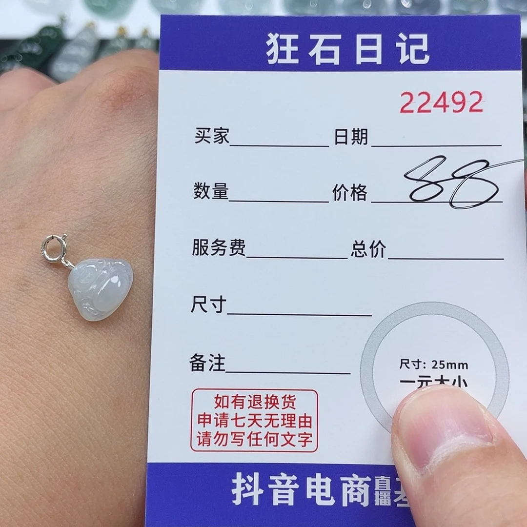 堇***翡翠银S925镶嵌颈饰
