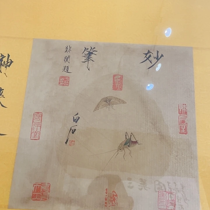 竖款小**学百事虫草框