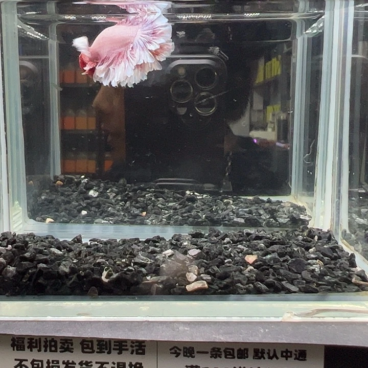 斗鱼跑单拉黑21日3