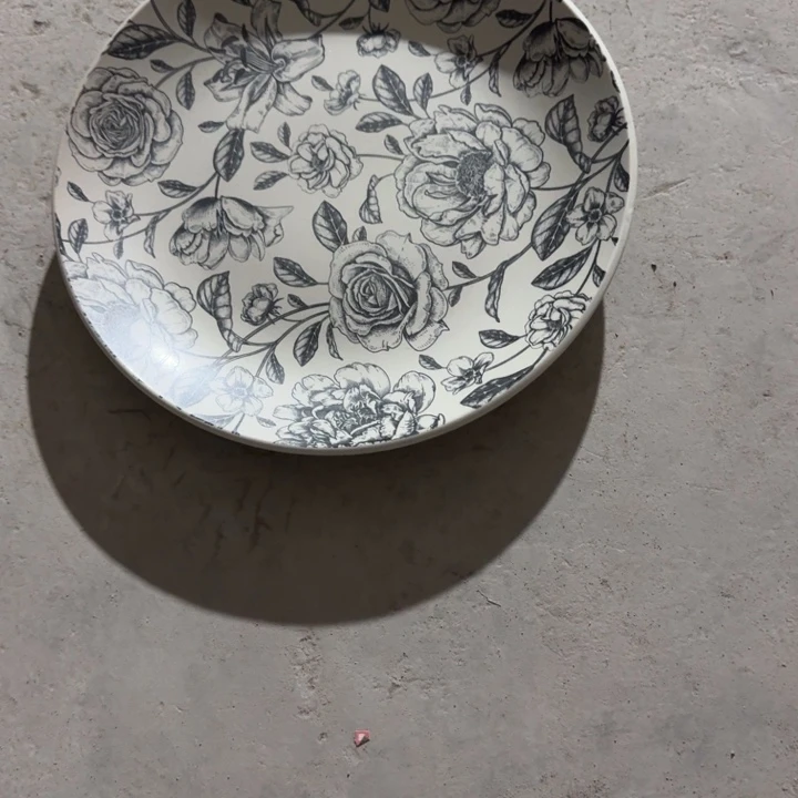 园***.碟陶直播特惠一只装  微瑕