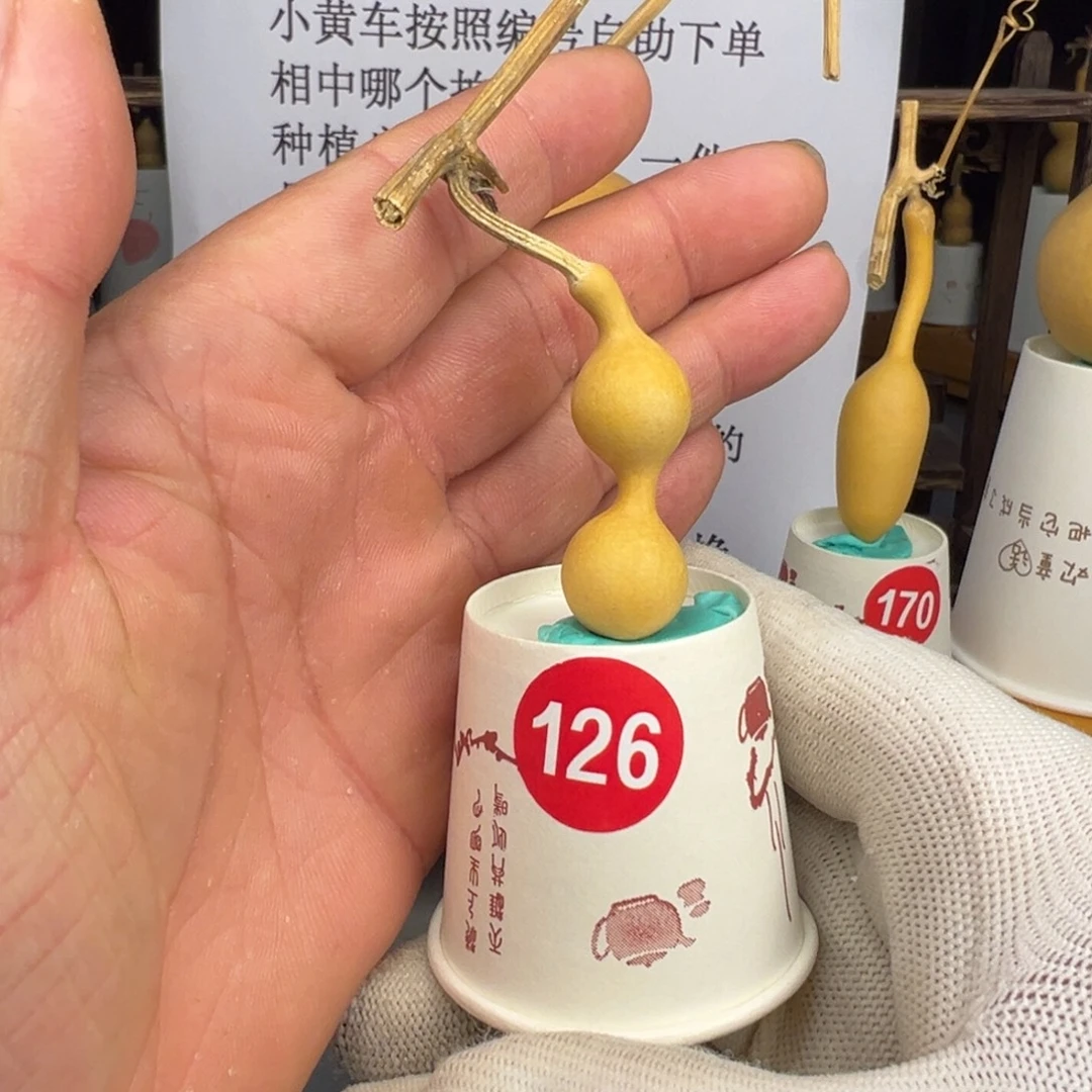 闪电购自助下单编号126