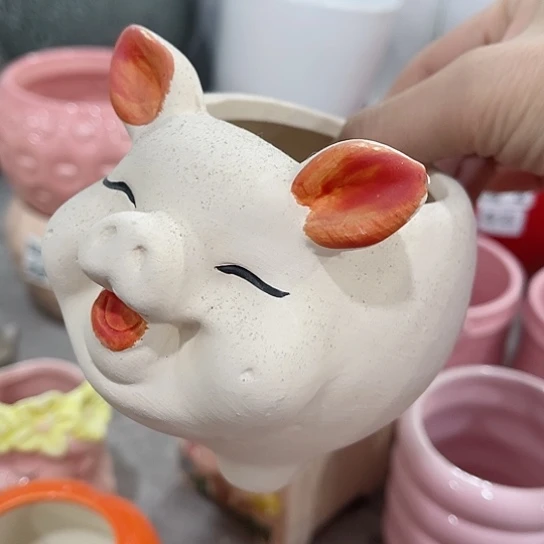 多肉绿植陶瓷花盆9.9包邮，有孔