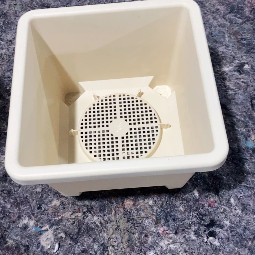 树脂4个米色球根方无托