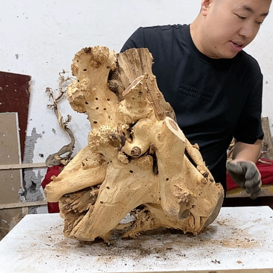 【闪购商品】柏木天*我们都是好孩子