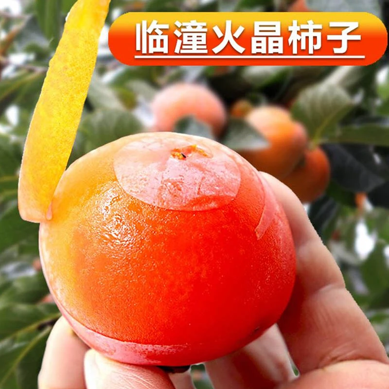 陕西特产正宗临潼火罐蜜柿火晶柿应季新鲜柿子一口吸香甜红小柿子