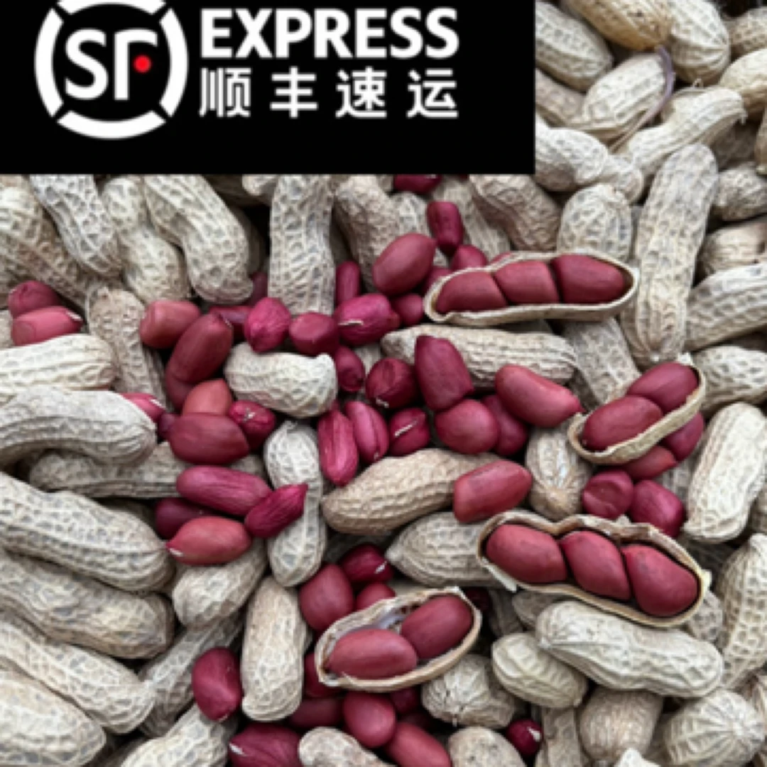 《顺丰包邮》2025广西博白农家红衣花生