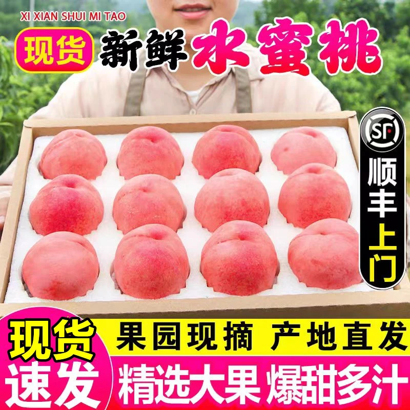 正宗春雪水蜜桃当季新鲜水果一整箱批发顺丰包邮脆甜大毛桃子硬软