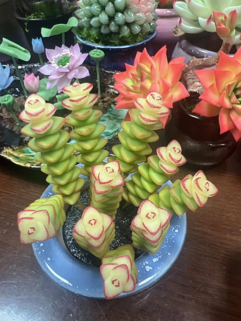 粘土多肉植物-钱串