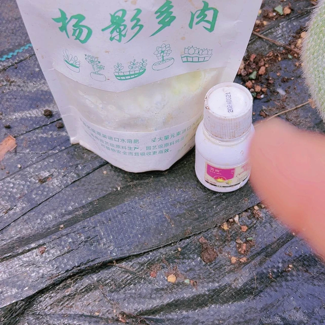 【闪购商品】营养水溶分加杀菌