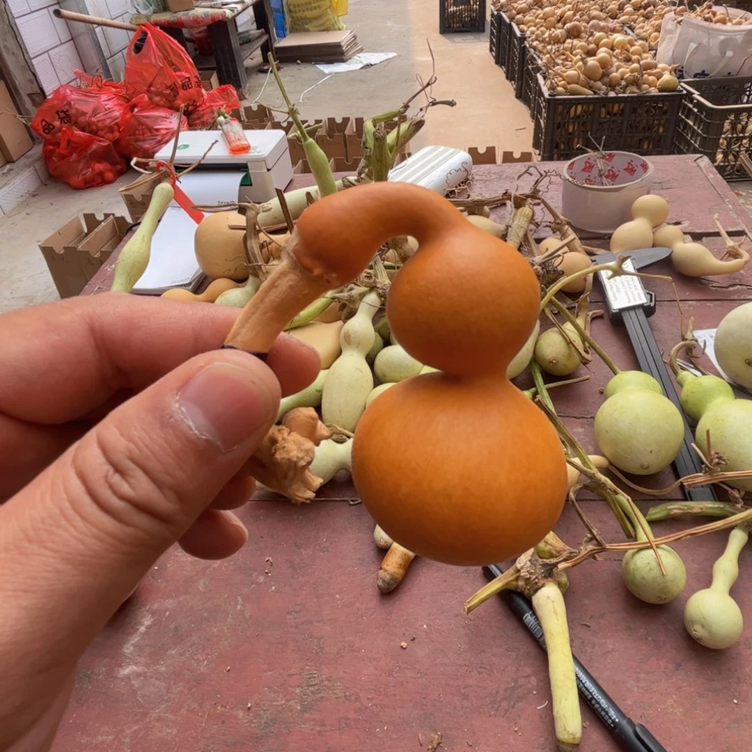 文玩葫芦吊坠项链