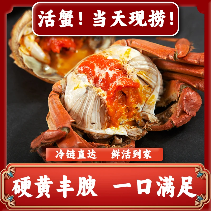 活蟹江苏螃蟹母2·2-2·5两公蟹2·2-2·5两 买8只送2只
