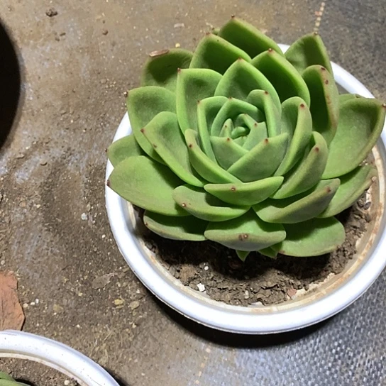 蹲***贝每周特价活动开始了