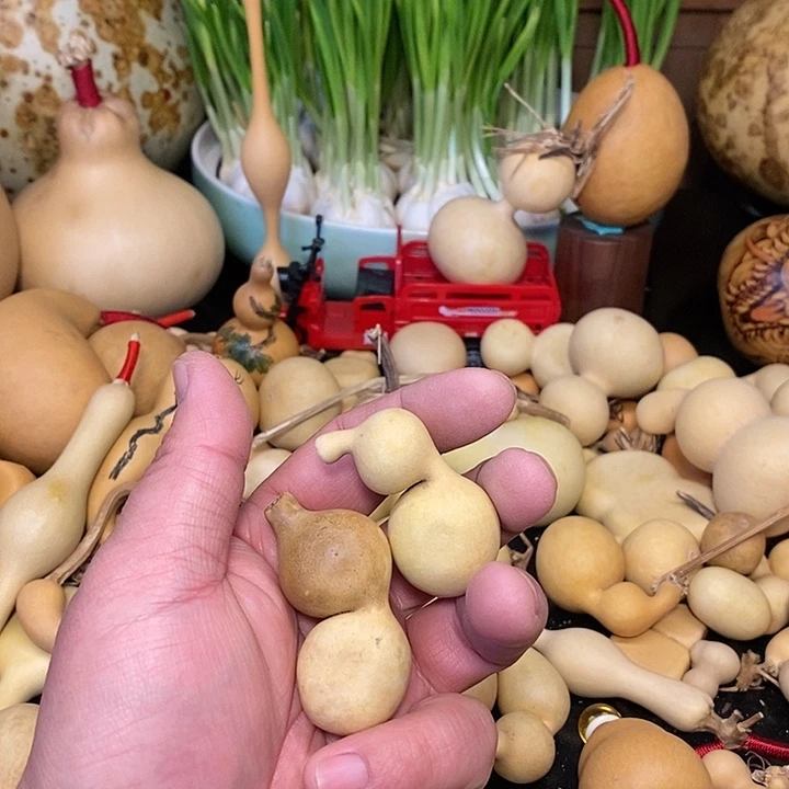 豆*阿精品葫芦手把葫芦117