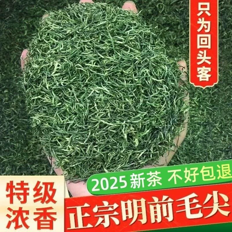 【保证新茶】信阳2025毛尖新茶叶明前高山浓香型炒青绿茶高档春茶