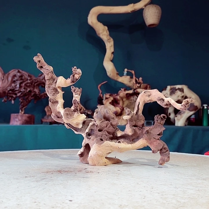 黑果木丰**顺982 金丝红木羊蹄甲半成品