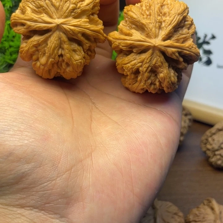 文玩核桃把件边46肚49全品大粗筋