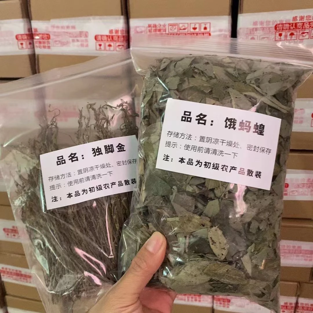 初级植物农产品饿蚂蝗草搭配蒸肉