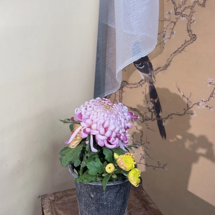 完全开放R666666666