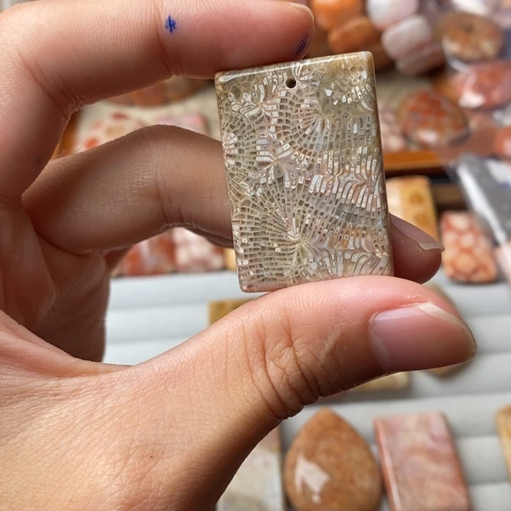 T***y未镶嵌珊瑚玉硅化玉