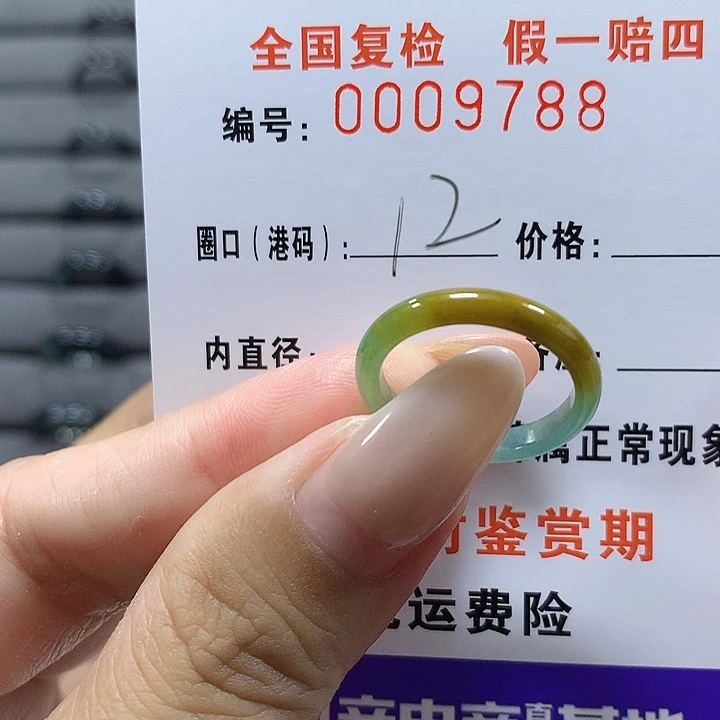 未镶嵌戒圈翡翠9788