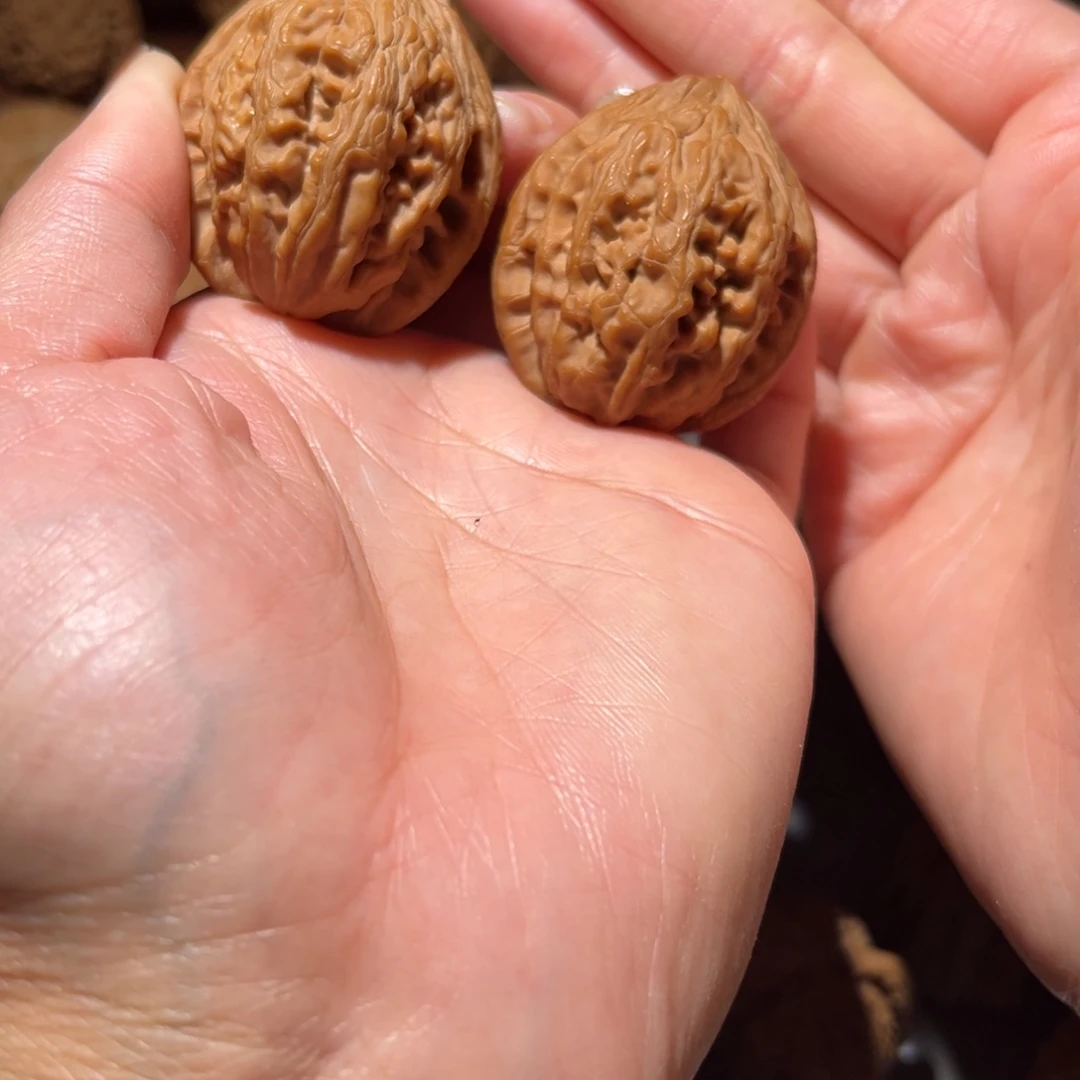 桃核把件大沽石37全品