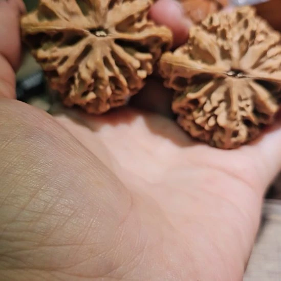 文玩核桃吊坠48帝王