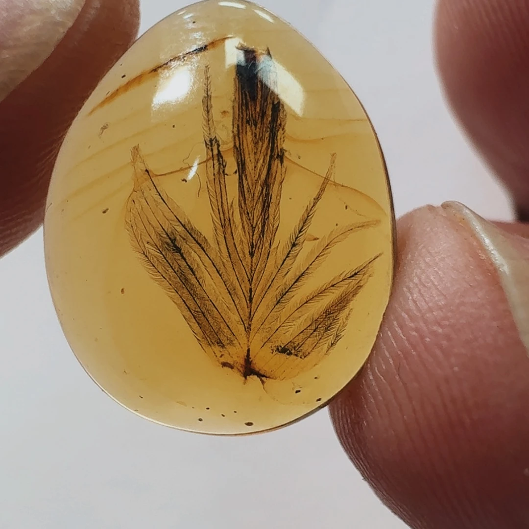 【闪购商品】琥珀裸石未镶嵌木*天然缅甸琥珀吊坠羽毛