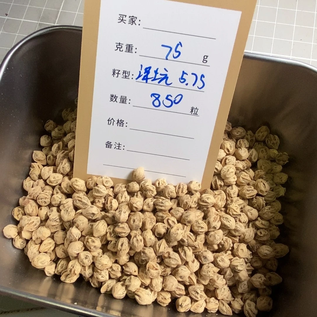 柏香籽/百香籽吊坠