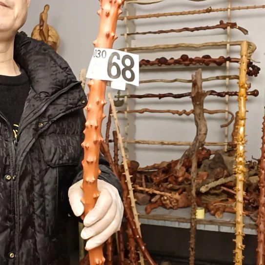 随***缘香榧木贵州檬子木   铁马鞭   根艺  半成品